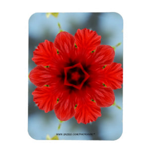Röd Blomma Premium Magnet