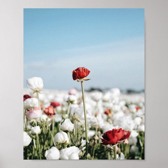 Röd blomma Print, Värdeaffischpapper (Semi-Gloss) Poster (Framsidan)