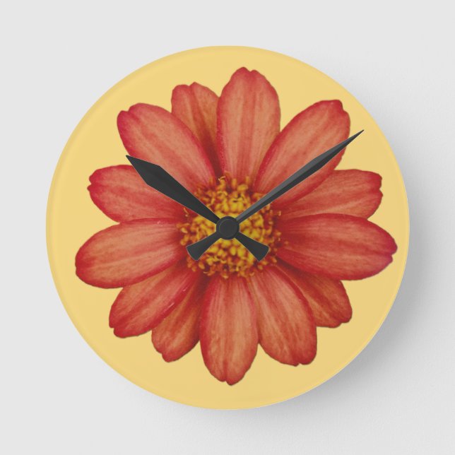 röd blomma rund klocka (Framsida)