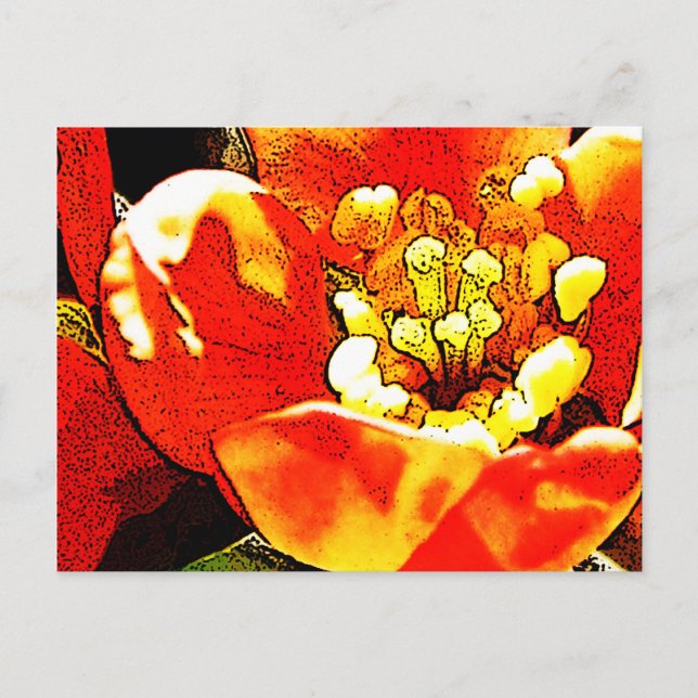 Röd blomma vykort (Framsida)