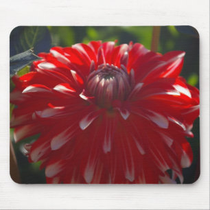 Röd blommamousepad musmatta