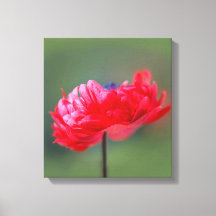 Röd blommans målareffekt stängs