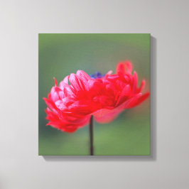 Röd blommans målareffekt stängs canvastryck