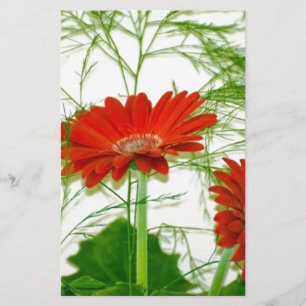 Röd Blommigt