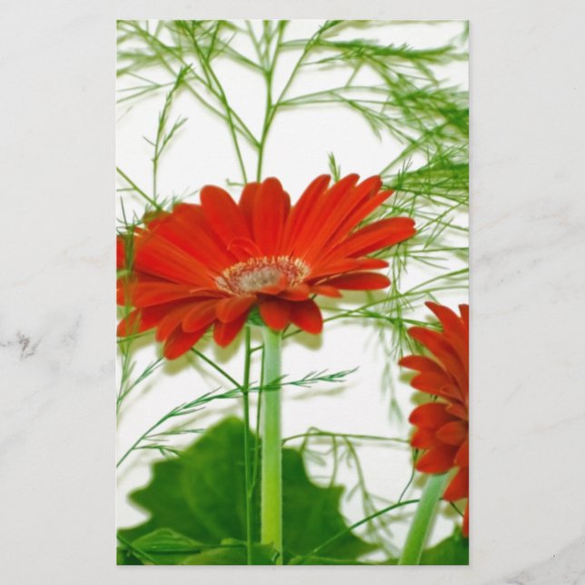 Röd Blommigt (Framsida)