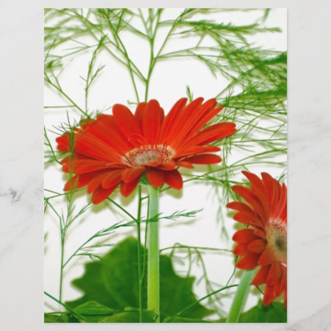 Röd blommigt (Framsida)
