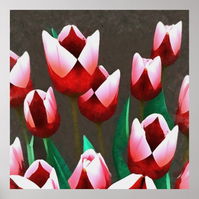 Röd Blommigt Abstrakt Poster (Framsidan)