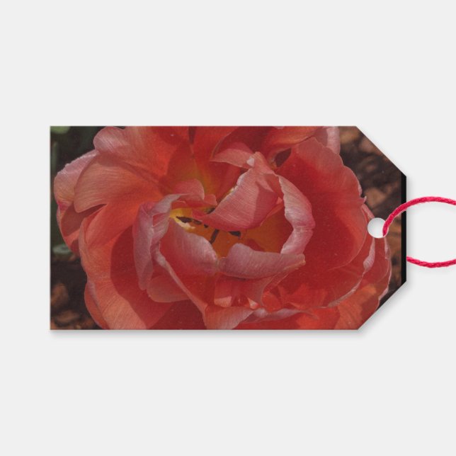 röd blomning  presentetikett (Framsidan (Horisontell))
