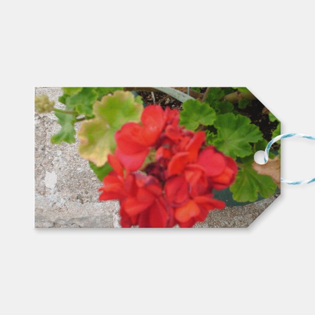 röd blomster vävnadspapper presentetikett (Framsidan (Horisontell))