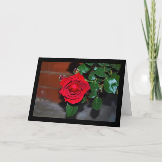 Röd blomsterros kort (Framsida)