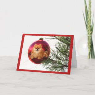 Röd boll för Pomeranian julkort Helgkort