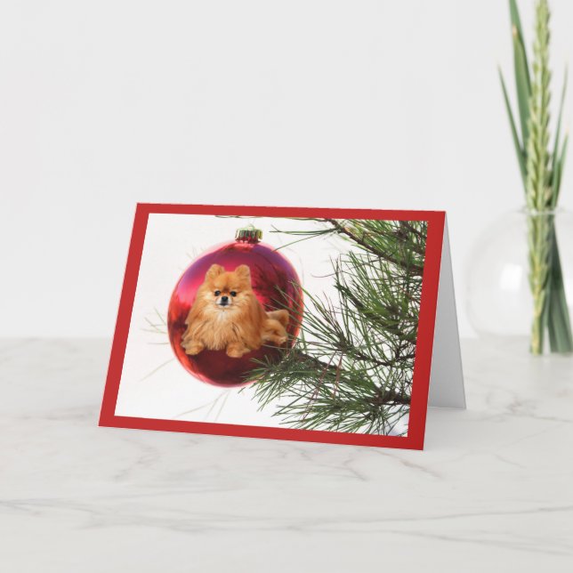 Röd boll för Pomeranian julkort Helgkort (Framsida)