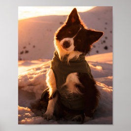 Röd Border Collie i snöiga berg vid solnedgång Poster