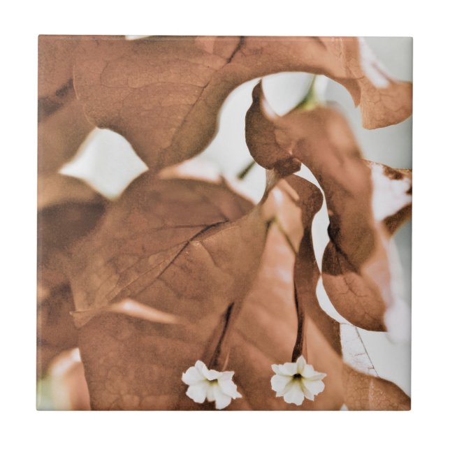 Röd Bougainvillea Kakelplatta (Framsidan)