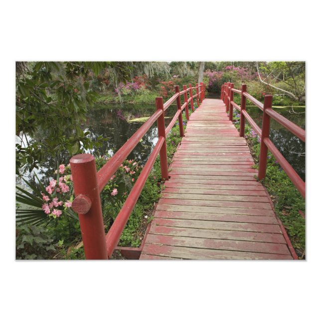 Röd bro över damm, Magnolia Plantation, Fototryck (Framsidan)