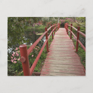 Röd bro över damm, Magnolia Plantation, Vykort
