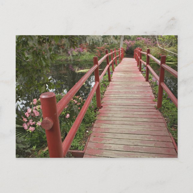 Röd bro över damm, Magnolia Plantation, Vykort (Framsida)