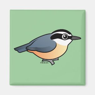 Röd-bröstad nuthatch magnet