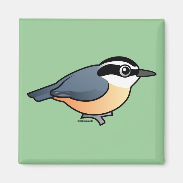 Röd-bröstad nuthatch magnet (Framsidan)