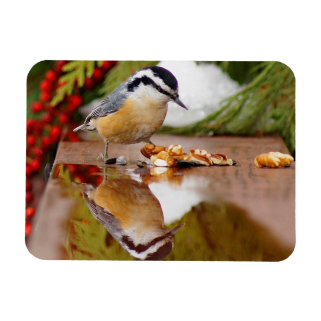 Röd-bröstad nuthatch magnet (Horisontell)