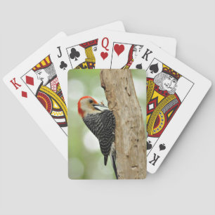Röd-Buktad hackspett Spel Kort