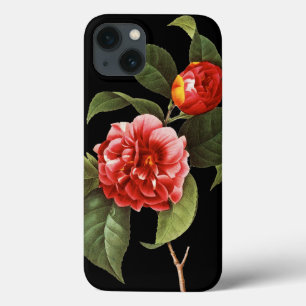 Röd Camellia, 1833