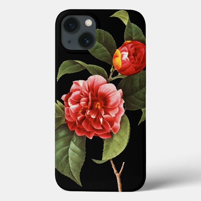Röd Camellia, 1833 (Baksida)