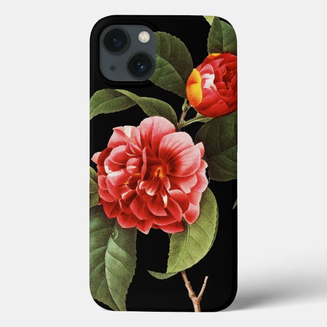 Röd Camellia, 1833 (Baksida)
