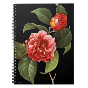 Röd Camellia, 1833 Anteckningsbok Med Spiral