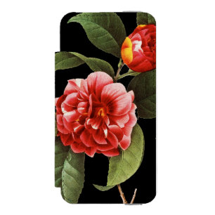 Röd Camellia, 1833