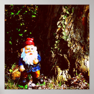 Röd Capped Gnome Poster