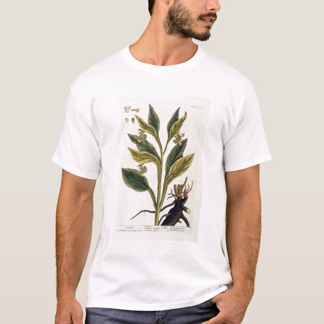 Röd chili (färggravyr) tee (Framsida)