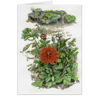 Röd chrysanthemum hälsningskort