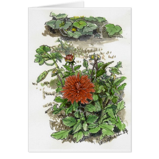 Röd chrysanthemum hälsningskort (Framsidan)