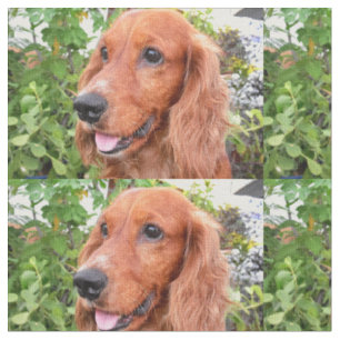 röd cocker-spaniel-.png tyg
