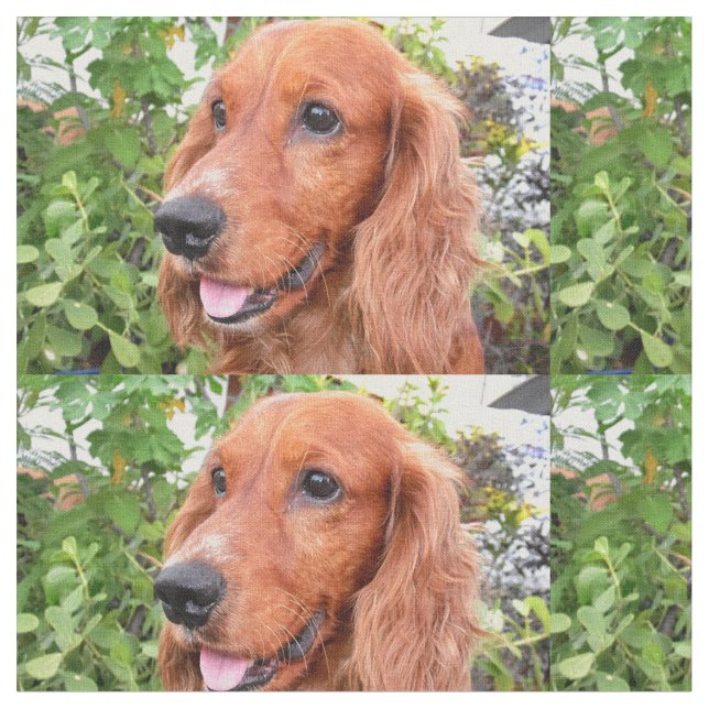 röd cocker-spaniel-.png tyg (Närbild)