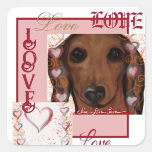 Röd Dachshund Fyrkantigt Klistermärke