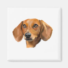 Röd Dachshund Hund Magnet