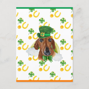 Röd Dachshund Shamrock St. Patricks Day Helg Vykort