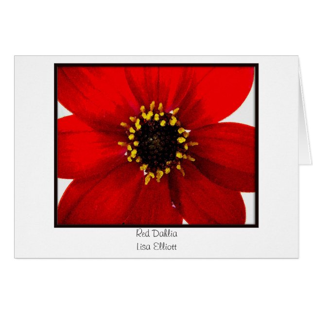 Röd Dahlia Hälsningskort (Framsidan Horizontal)
