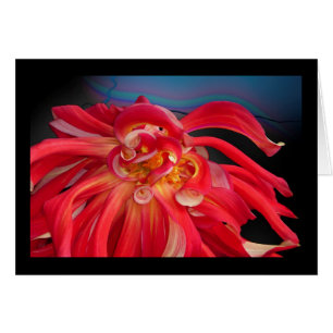 Röd Dahlia: www.GraceArtGroup.com Hälsningskort