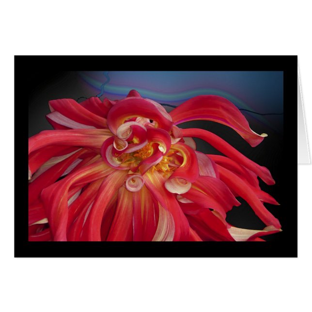 Röd Dahlia: www.GraceArtGroup.com Hälsningskort (Framsidan Horizontal)