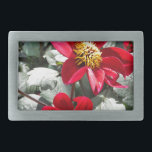 röd daisy/daisy blommor<br><div class="desc">röd daisy/daisy blommor</div>