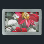 röd daisy/daisy blommor<br><div class="desc">röd daisy/daisy blommor</div>