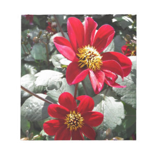 röd daisy/daisy blommor anteckningsblock