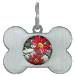 röd daisy/daisy blommor ID-bricka husdjur