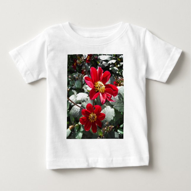 röd daisy/daisy blommor t-shirt (Framsida)