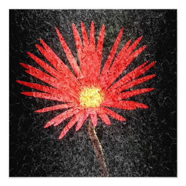 Röd Daisy Färgfärg Fototryck (Framsidan)