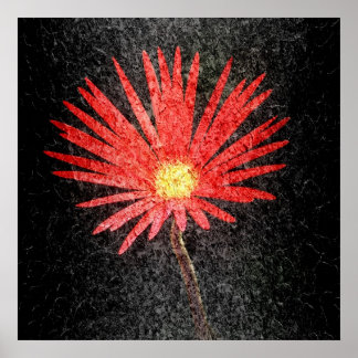 Röd Daisy Färgfärg Poster