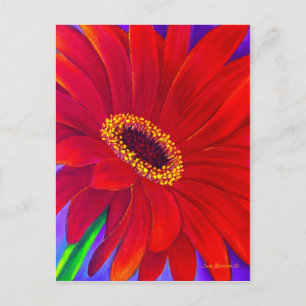 Röd Daisy Gerber Blomstermålning Konst - Multi Vykort